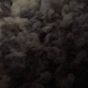 Meet your Posher, Madhvi